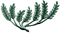 LXg̖