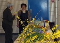 Flower Arranging 2